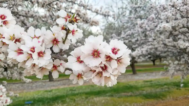 image_transcoder.php?o=sys_images_editor&h=3381&dpx=1&t=1743901426