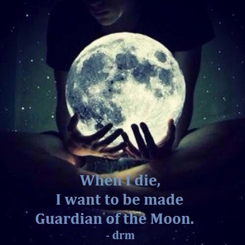 image_transcoder.php?o=sys_images_editor&h=3651&dpx=1&t=1749657976