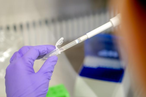 Omicron variant was detected in the Netherlands before South Africa flights