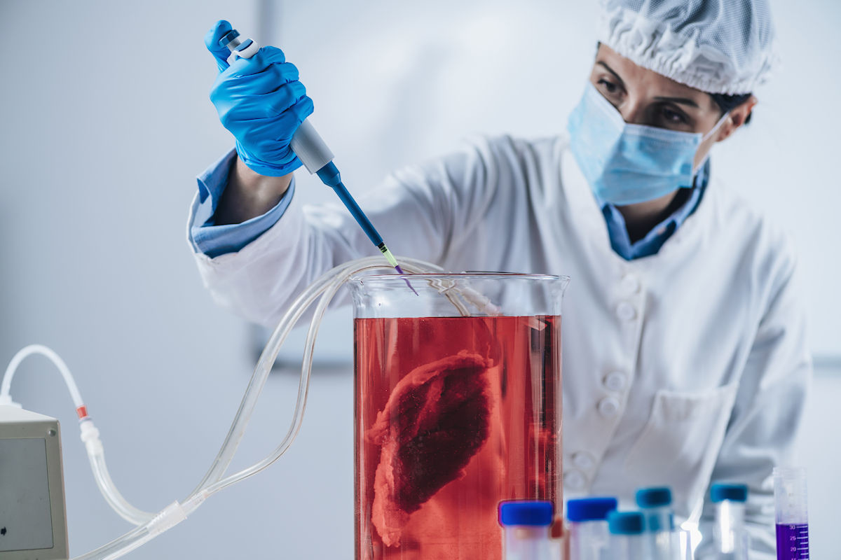 LabGrown Meat Worse for the Environment Than Farm Grown Beef