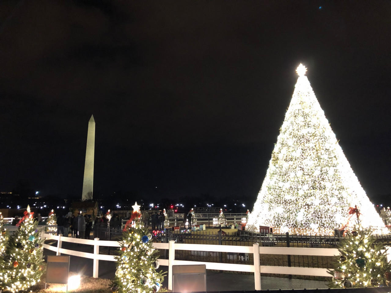 The National Christmas Tree, Washington, DC 2019.