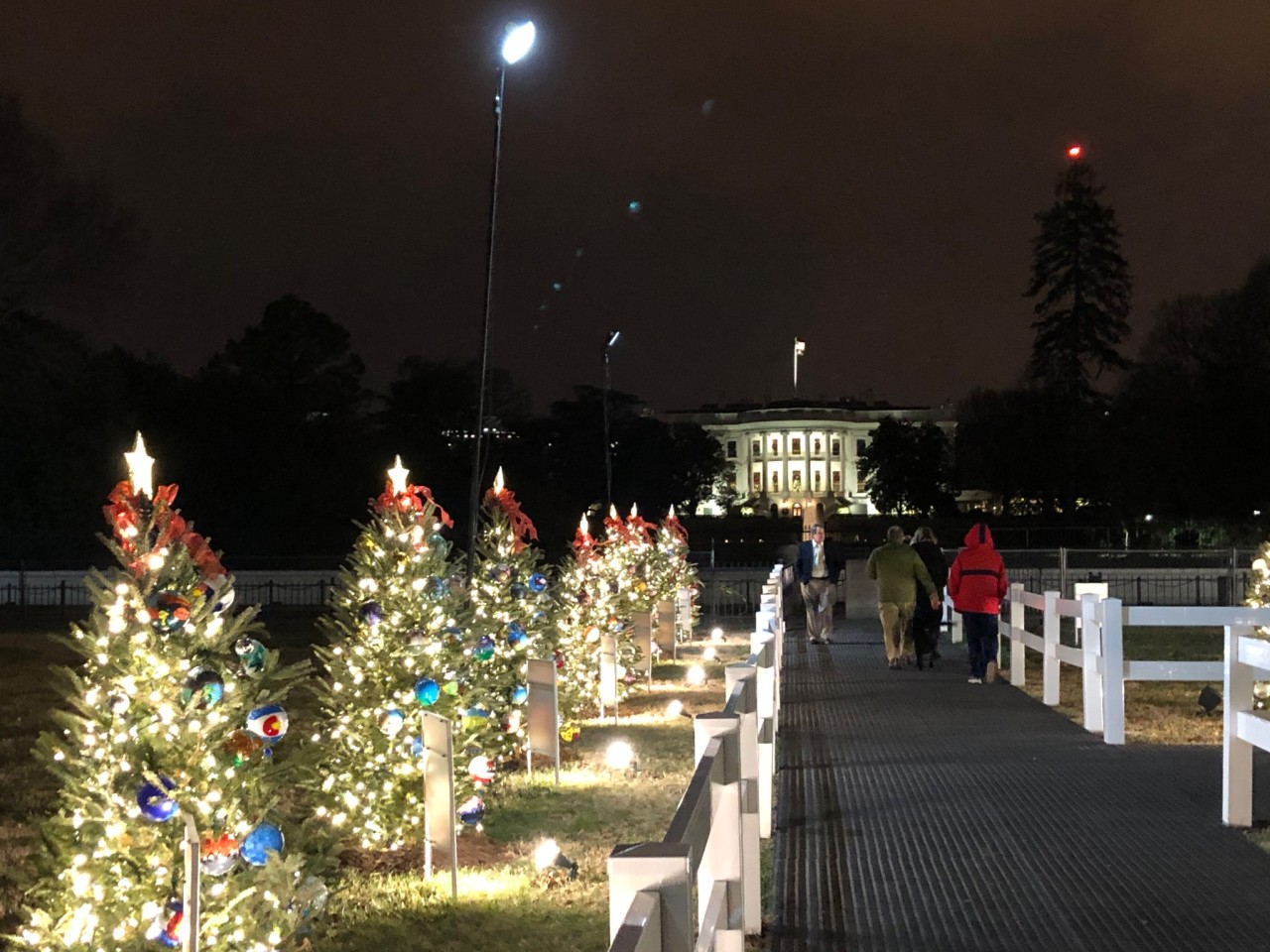 The National Christmas Tree, Washington, DC 2019.