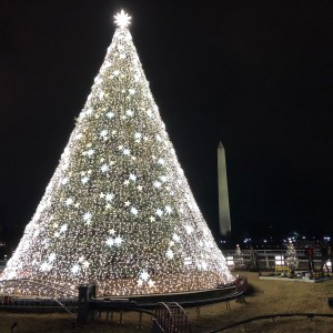 The National Christmas Tree, Washington, DC 2019.