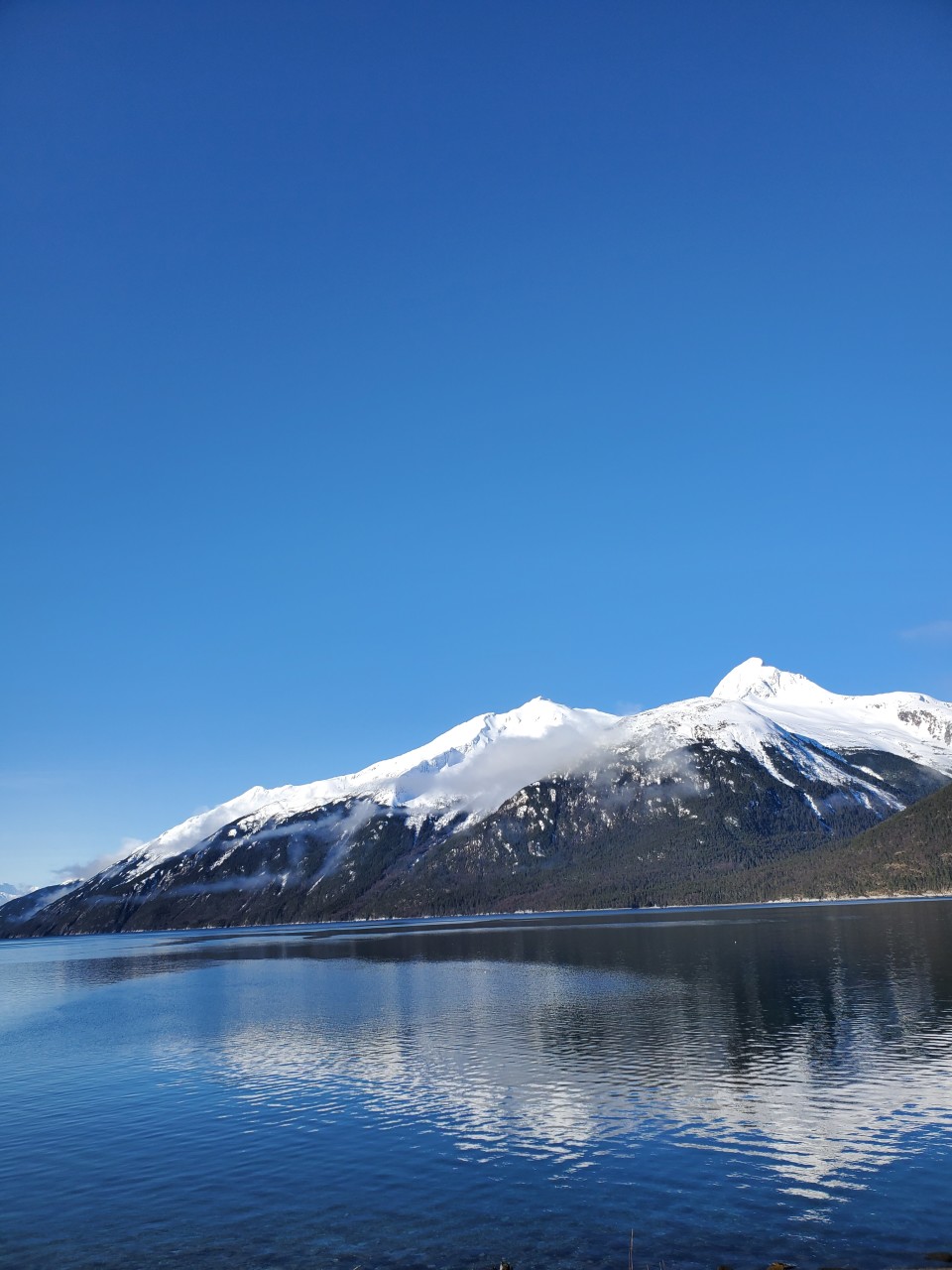 Shot of Harding Glacier (the flat spot) covered in snow across the bay