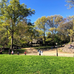 Spring in Central Park