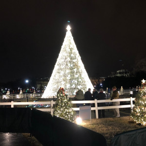 The National Christmas Tree, Washington, DC 2019.