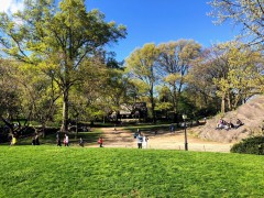 Spring in Central Park