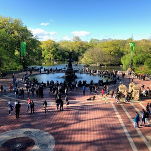 Spring in Central Park
