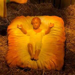 The National Christmas Tree, Washington, DC 2019.