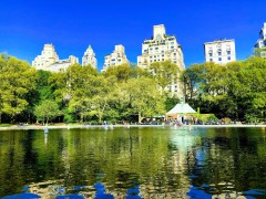Spring in Central Park