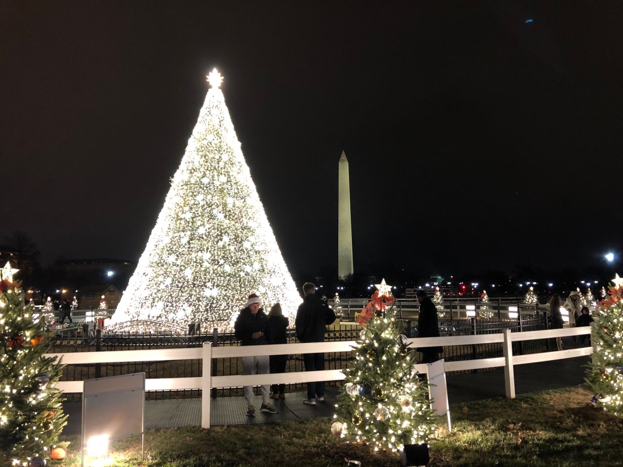 The National Christmas Tree, Washington, DC 2019.