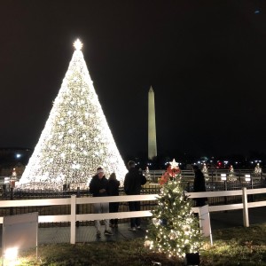 The National Christmas Tree, Washington, DC 2019.