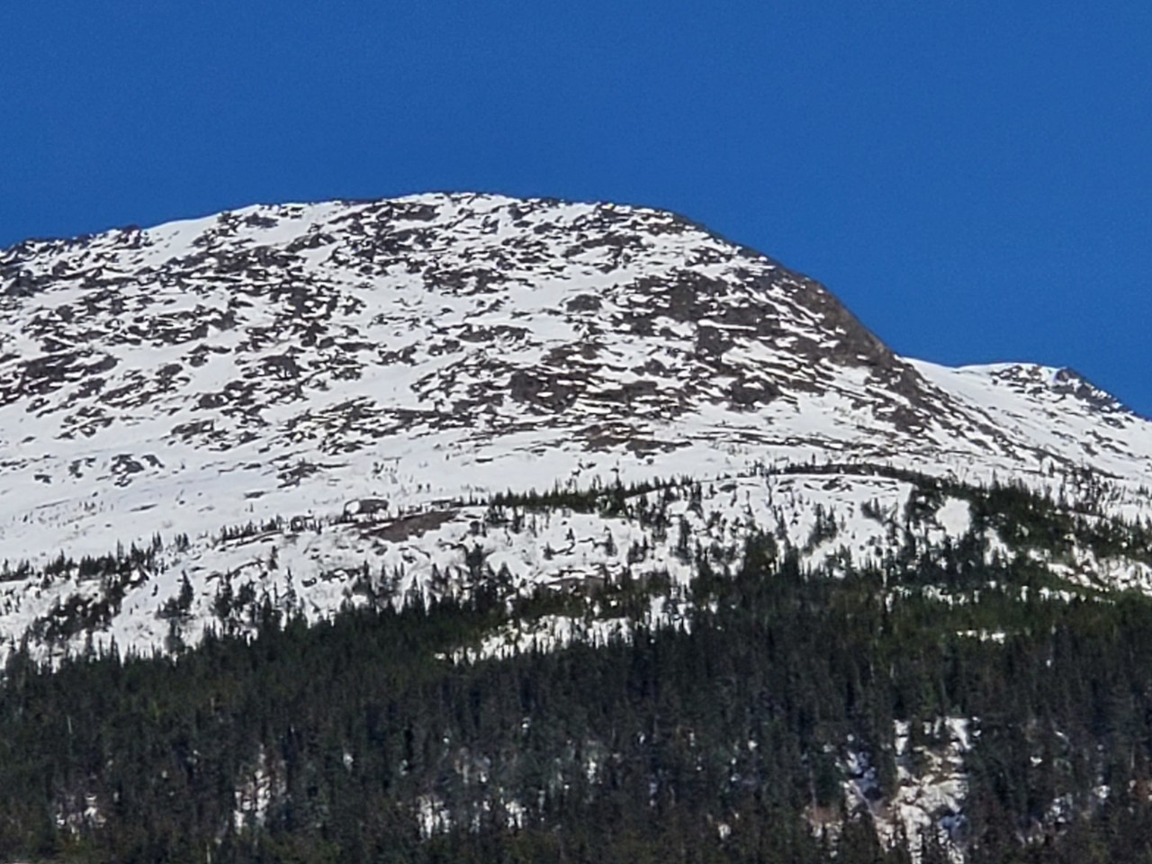 Snow covered greatness