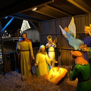 The National Christmas Tree, Washington, DC 2019.