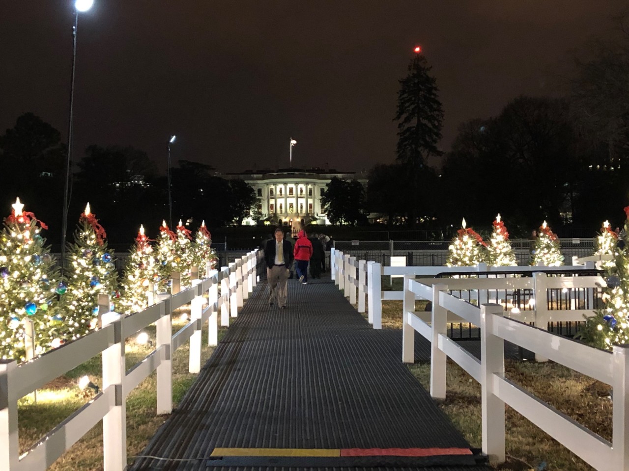 The National Christmas Tree, Washington, DC 2019.