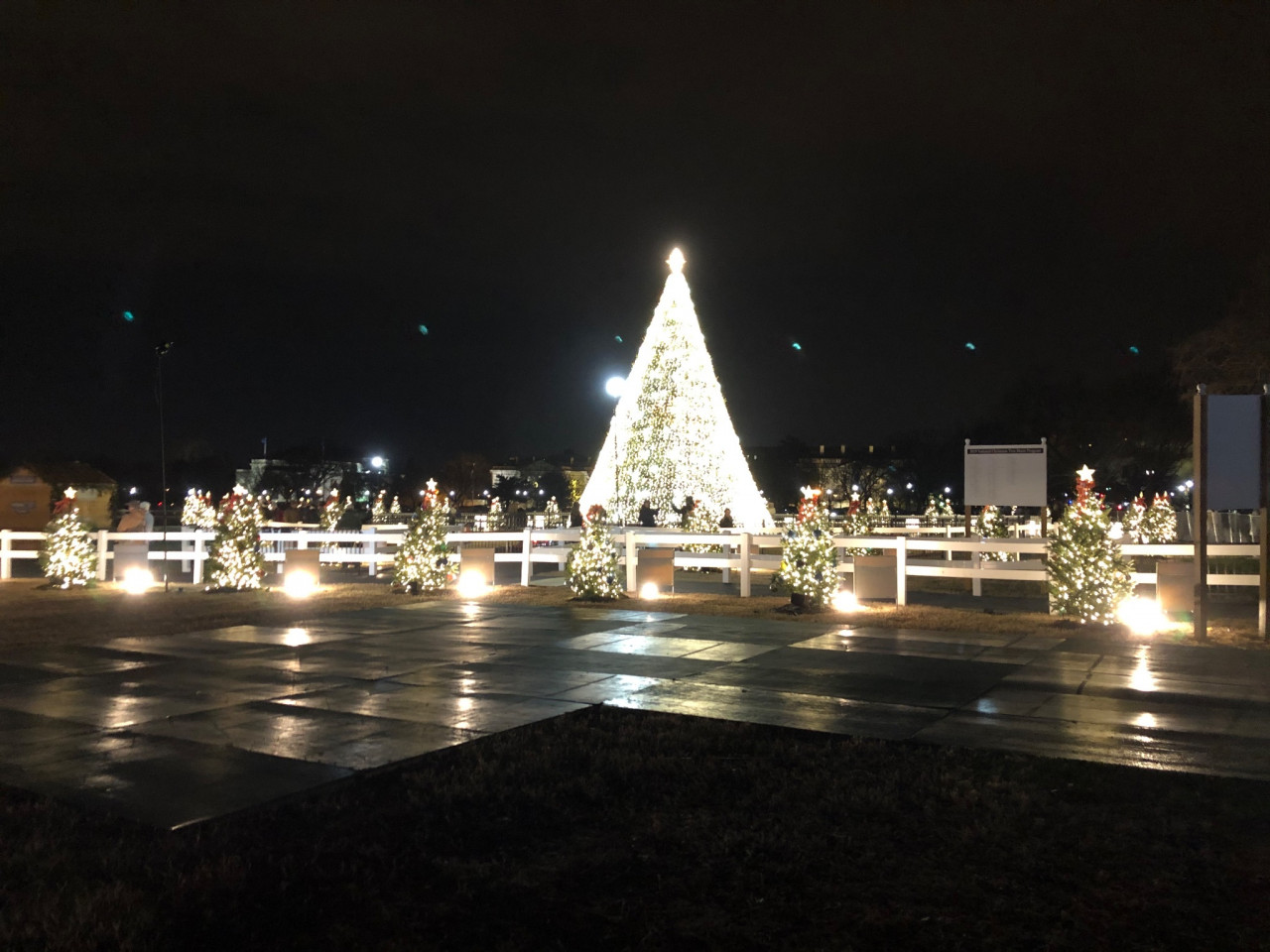 The National Christmas Tree, Washington, DC 2019.