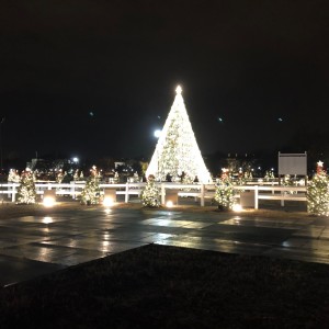 The National Christmas Tree, Washington, DC 2019.