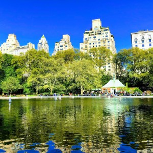 Spring in Central Park
