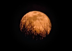 Supermoons occur when the moon is within 90% of perigree, or its closest approach to Earth in orbit. The moon will appear brighter and bigger in the night sky and hopefully no clouds and inclement weather will obscure the view. March's full moon is also k
