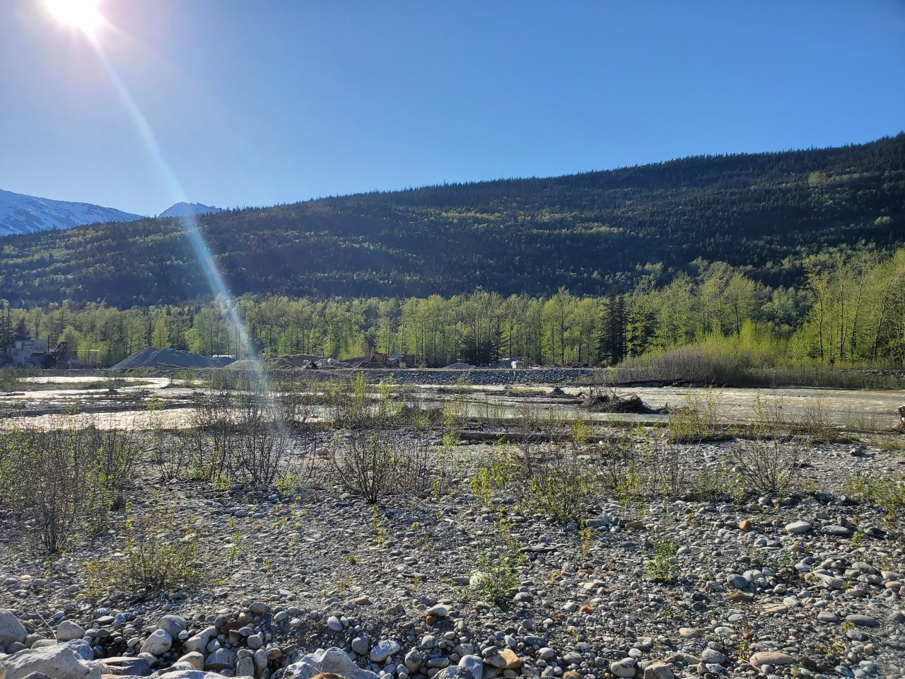 This was a shot from out by the old paintball course by the historic graveyard.