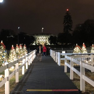 The National Christmas Tree, Washington, DC 2019.