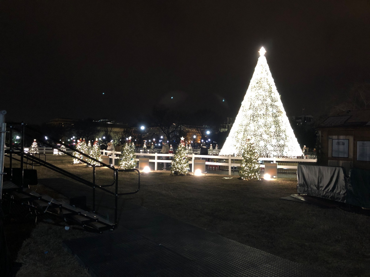 The National Christmas Tree, Washington, DC 2019.