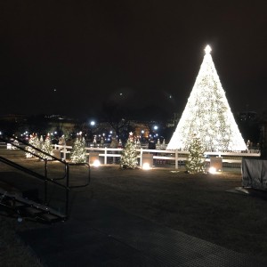 The National Christmas Tree, Washington, DC 2019.