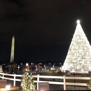 The National Christmas Tree, Washington, DC 2019.