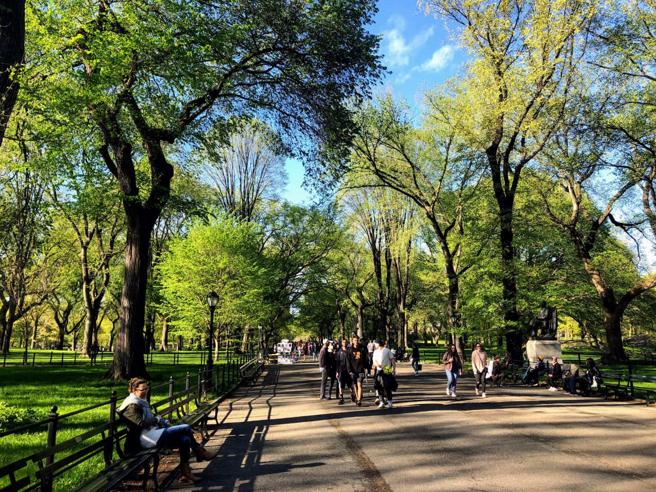 Spring in Central Park
