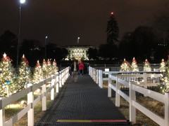 The National Christmas Tree, Washington, DC 2019.