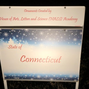 The National Christmas Tree, Washington, DC 2019.