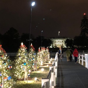 The National Christmas Tree, Washington, DC 2019.