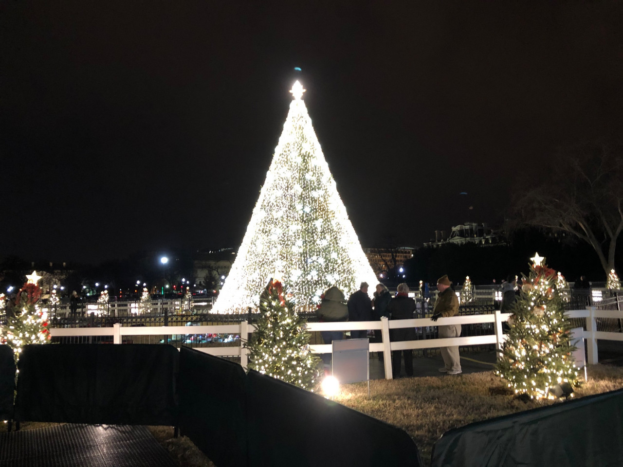 The National Christmas Tree, Washington, DC 2019.