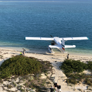Fort Jefferson - Dry Tortugas