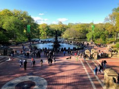 Spring in Central Park
