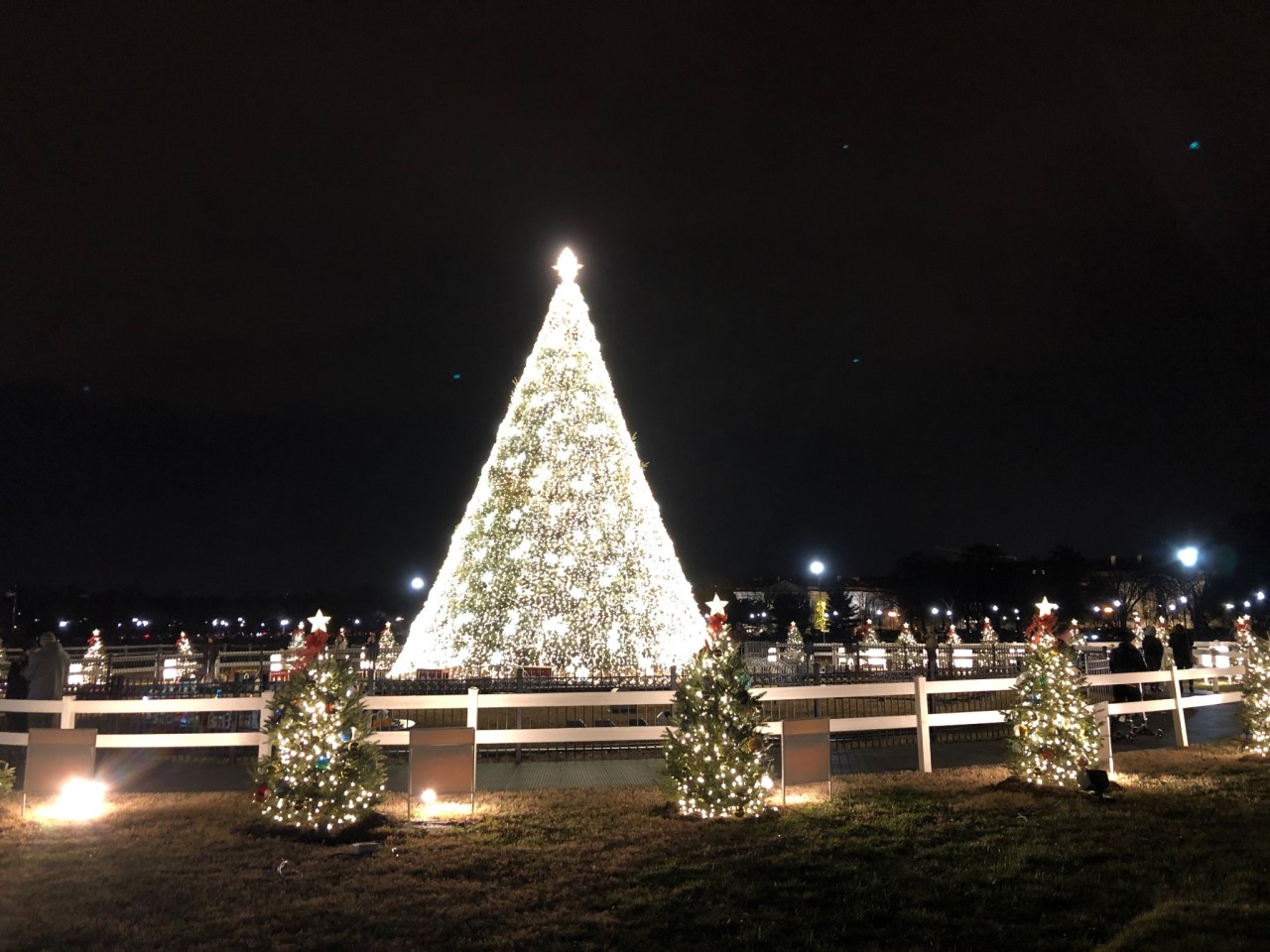 The National Christmas Tree, Washington, DC 2019.