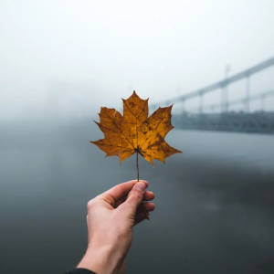 My favorite time of year 2020