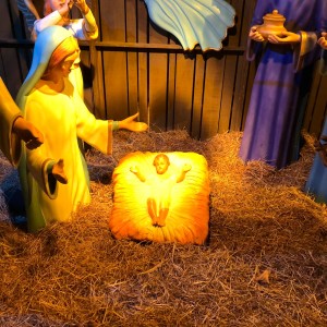 The National Christmas Tree, Washington, DC 2019.