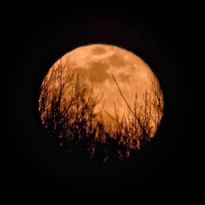 Supermoons occur when the moon is within 90% of perigree, or its closest approach to Earth in orbit. The moon will appear brighter and bigger in the night sky and hopefully no clouds and inclement weather will obscure the view. March's full moon is also k
